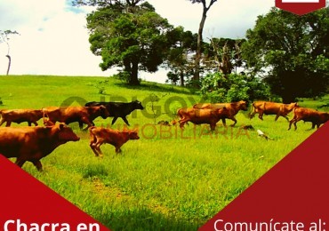 Chacra de 376 hectáreas