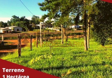 Terreno de 1 hectáreas