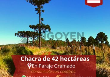 Chacra de 42 hectareas 