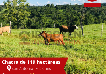 Chacra de 119 hectáreas