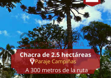 Chacra de 2.5 hectáreas